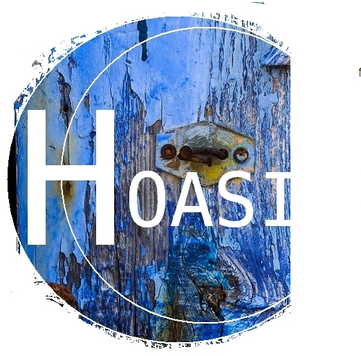 LOGO HOASI